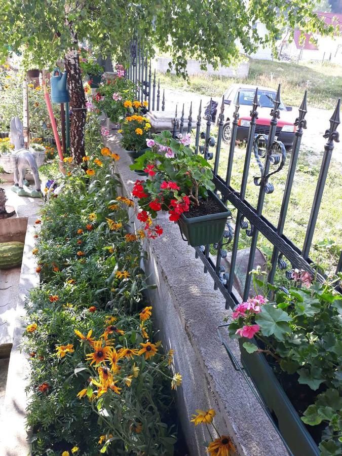 Дома для отпуска Vila Krismark Жабляк-34