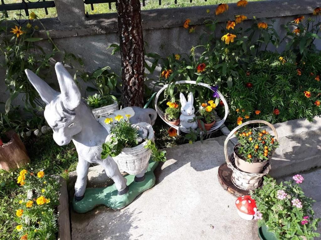 Дома для отпуска Vila Krismark Жабляк