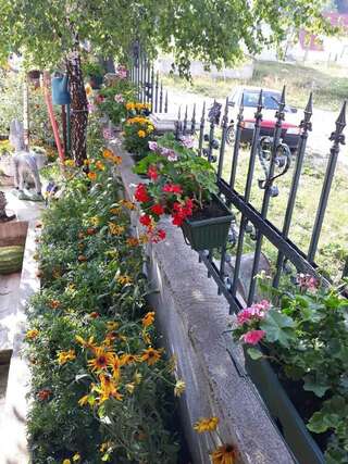 Дома для отпуска Vila Krismark Жабляк Вилла-31